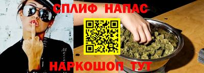 гашик Сланцы