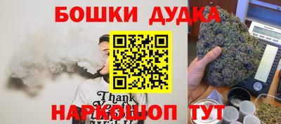 a pvp Славгород