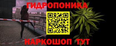 a pvp Славгород