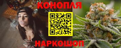 a pvp Славгород
