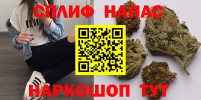гашик Сланцы