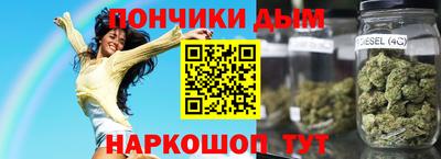 гашик Сланцы