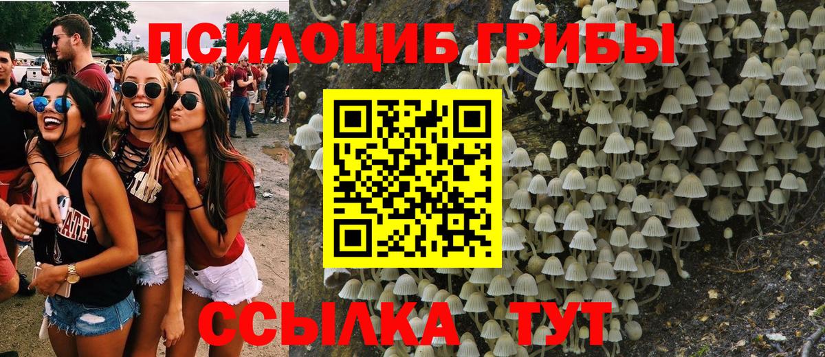 Галлюциногенные грибы мицелий Сальск